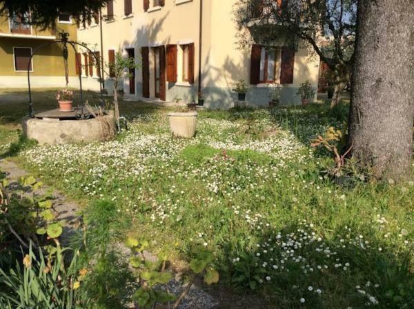 Apartament Casa Olinda Lazise Zewnętrze zdjęcie